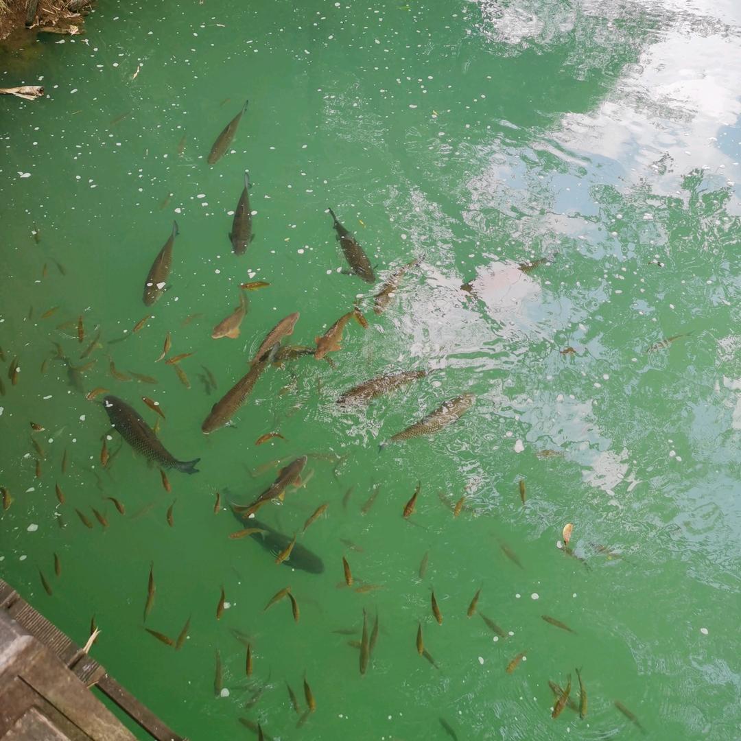 观山湖区骑乐童车经营部