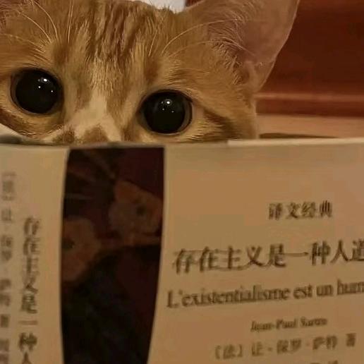 花巷