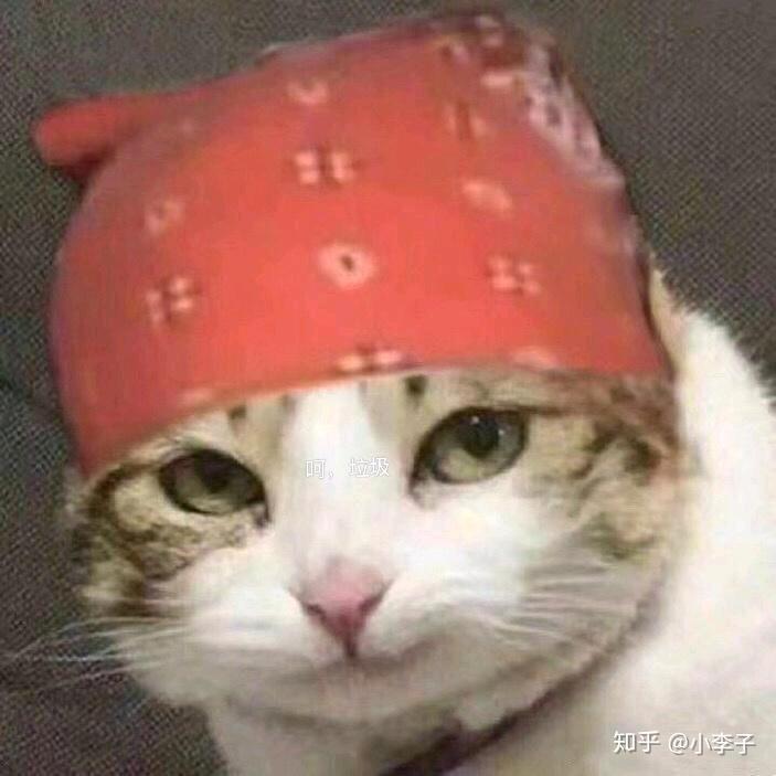 张5G的游戏生活