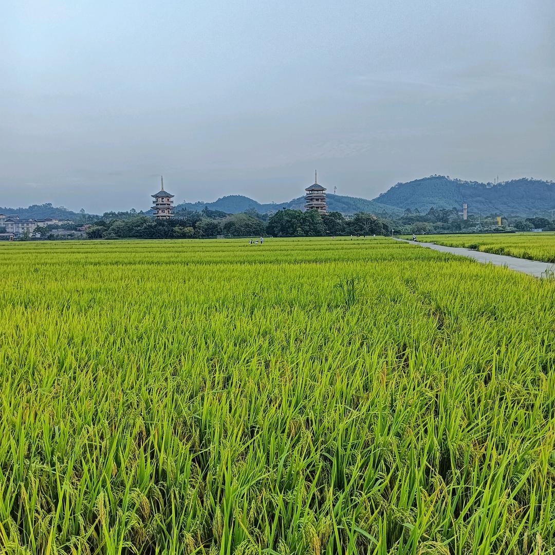 @梁辰美景