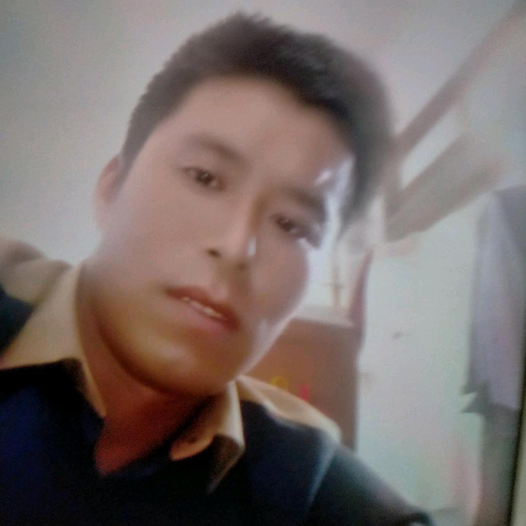 自由飞翔5292190208366