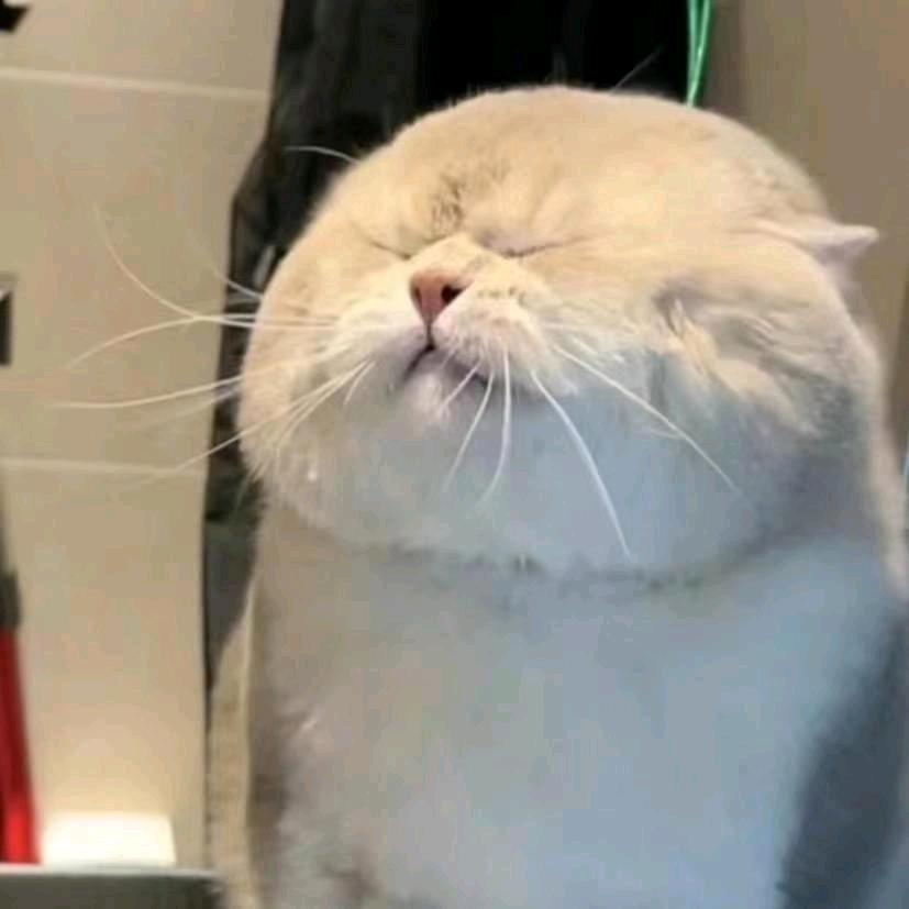 vvw