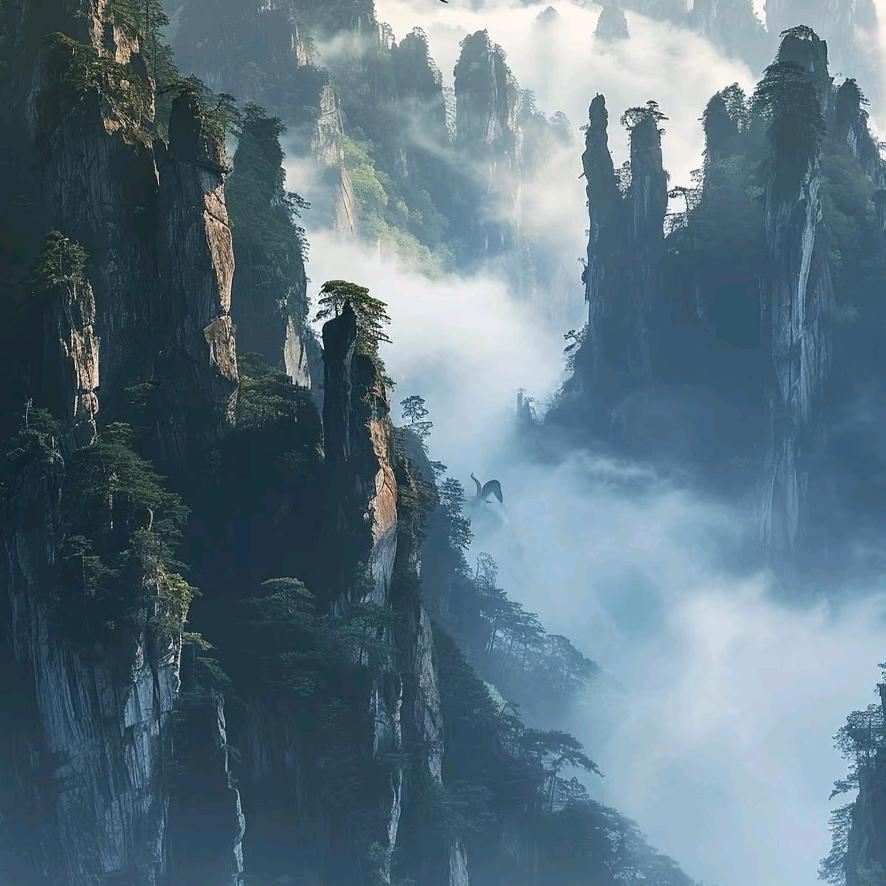 平常心看一切