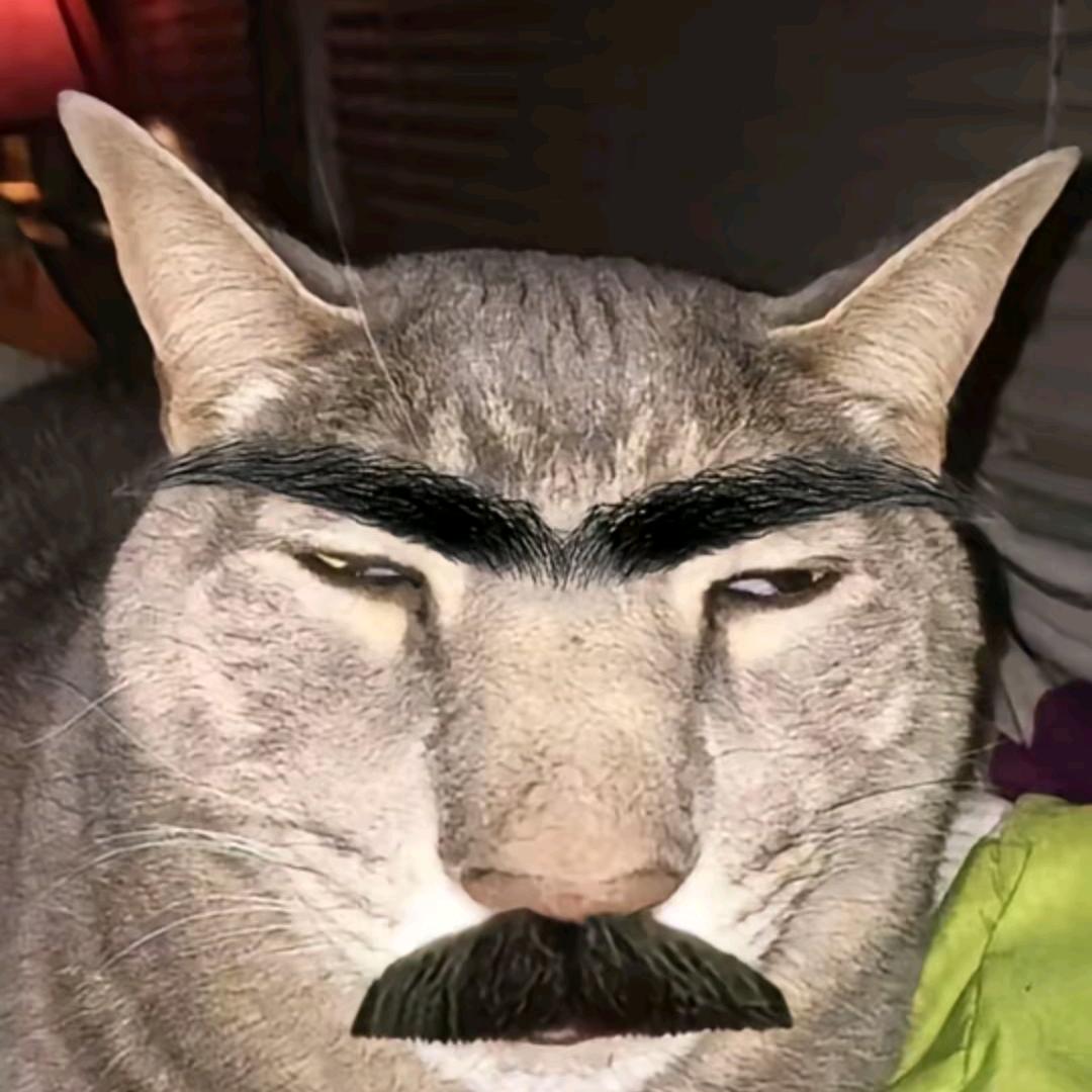 八字写在纸上能砍树