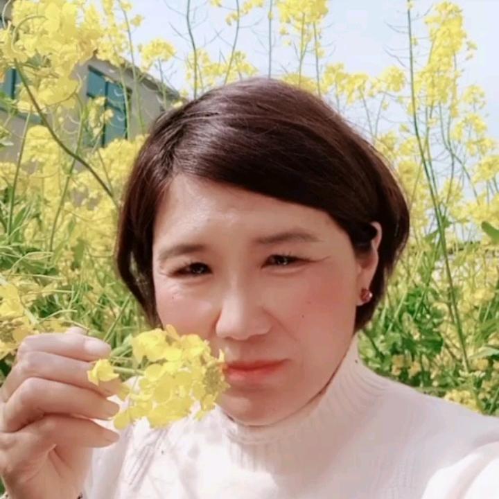 永远是朋友，蔡