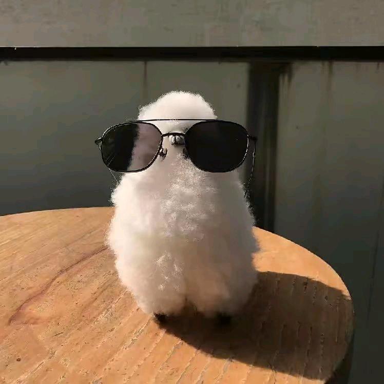 没烦恼^
