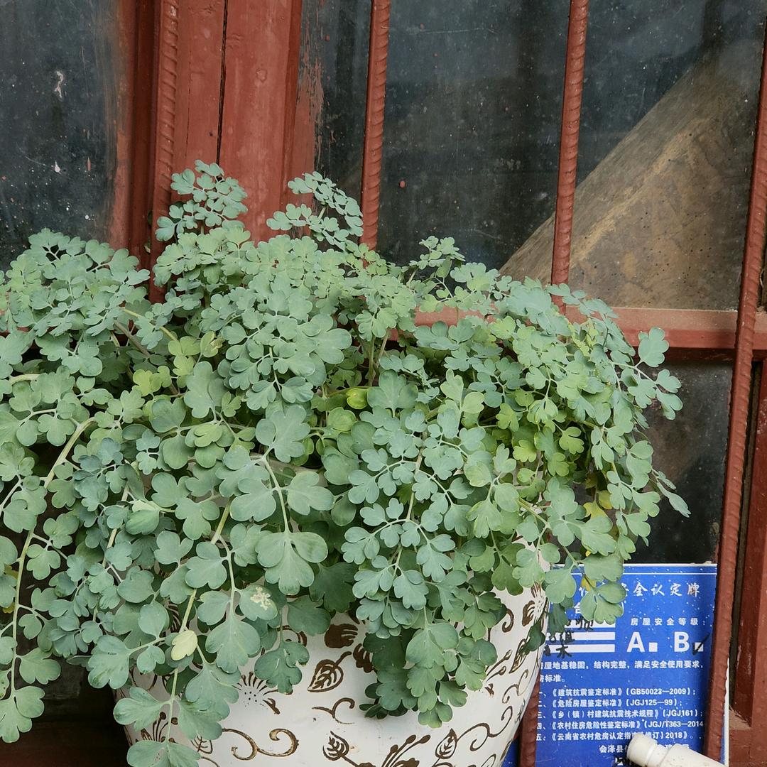 奋斗为来