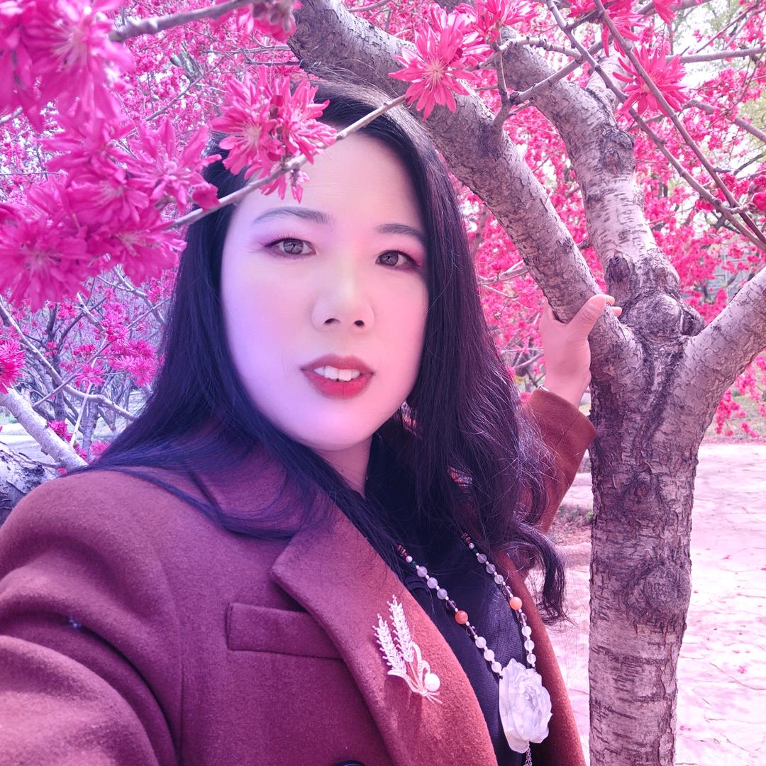 雪（橱窗已开）