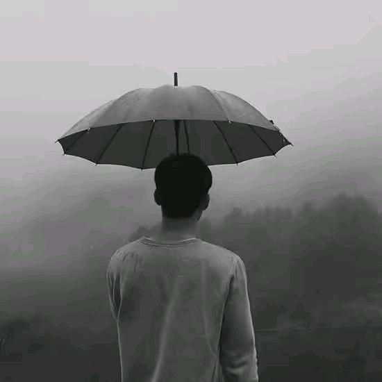 ☔️雨夜追风