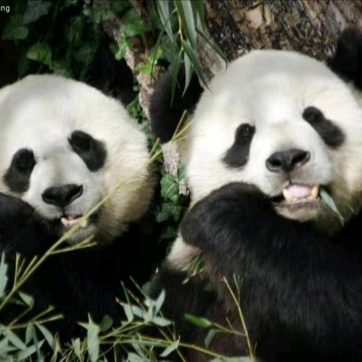 永远守护美香一家