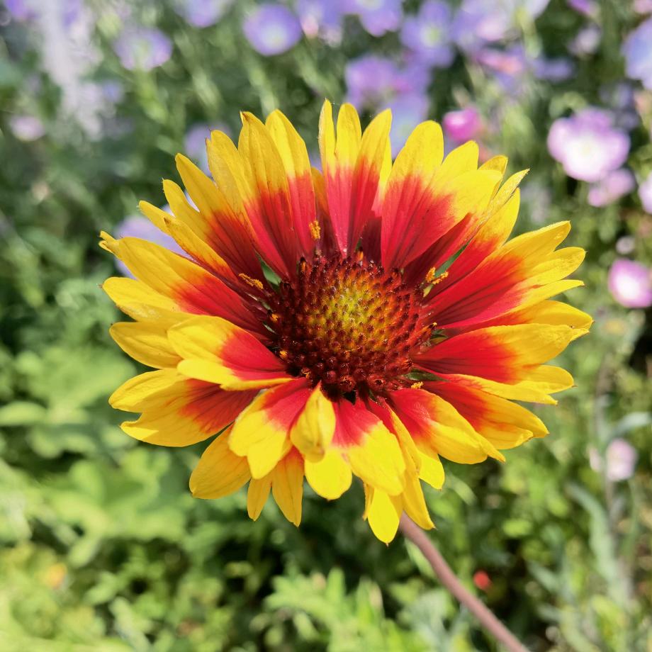 用爱温暖阳光≡