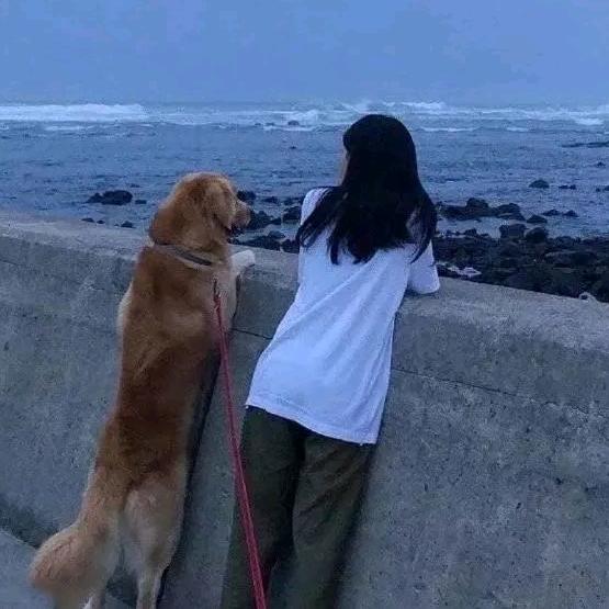✨纯粹