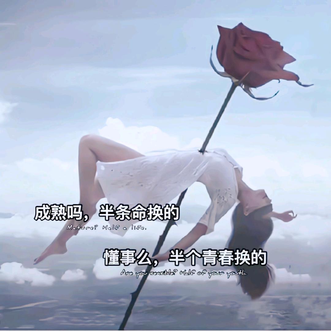 悄然离去