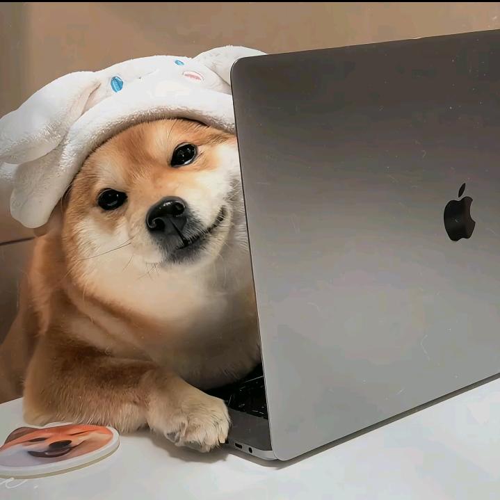 stream