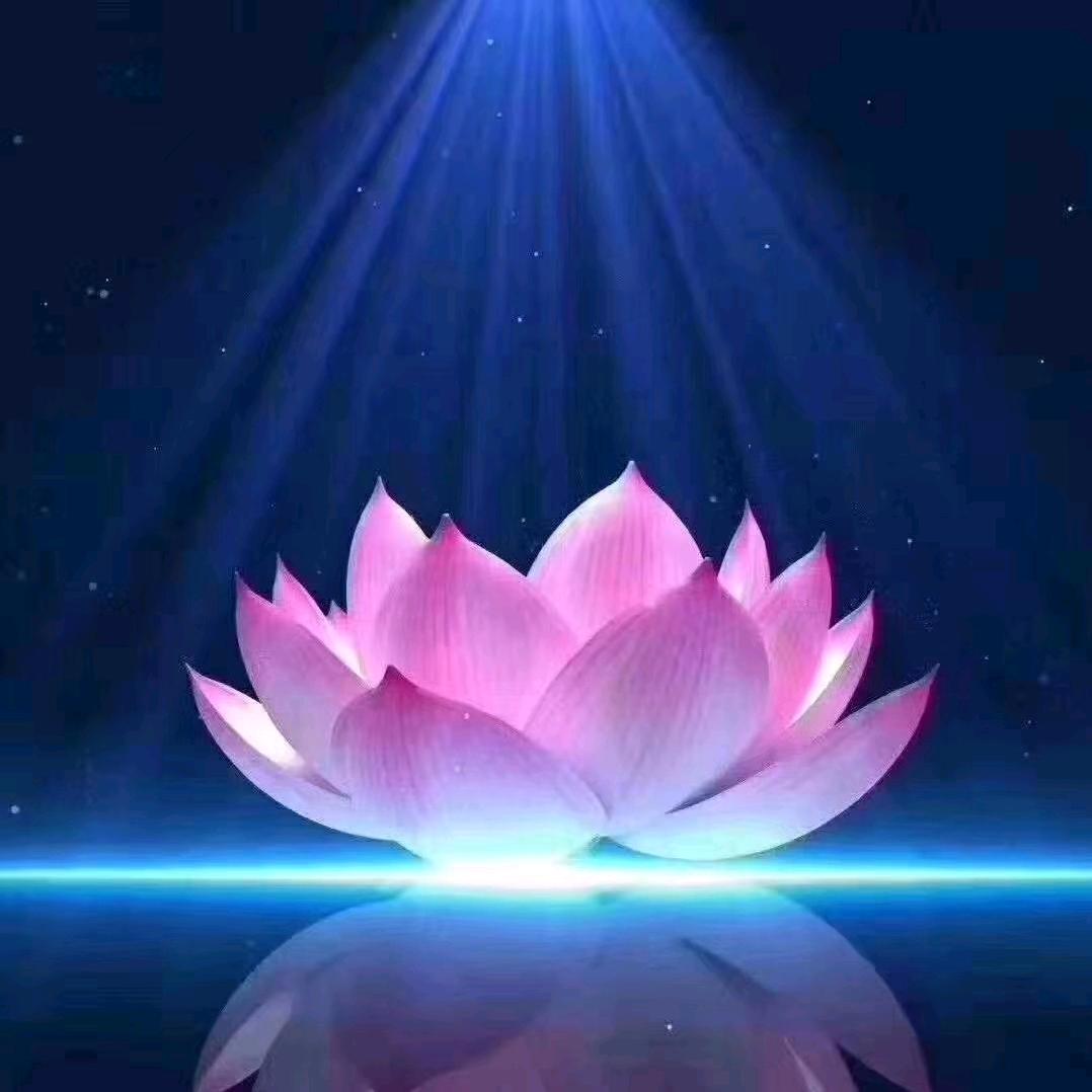 花花世界，开心就好