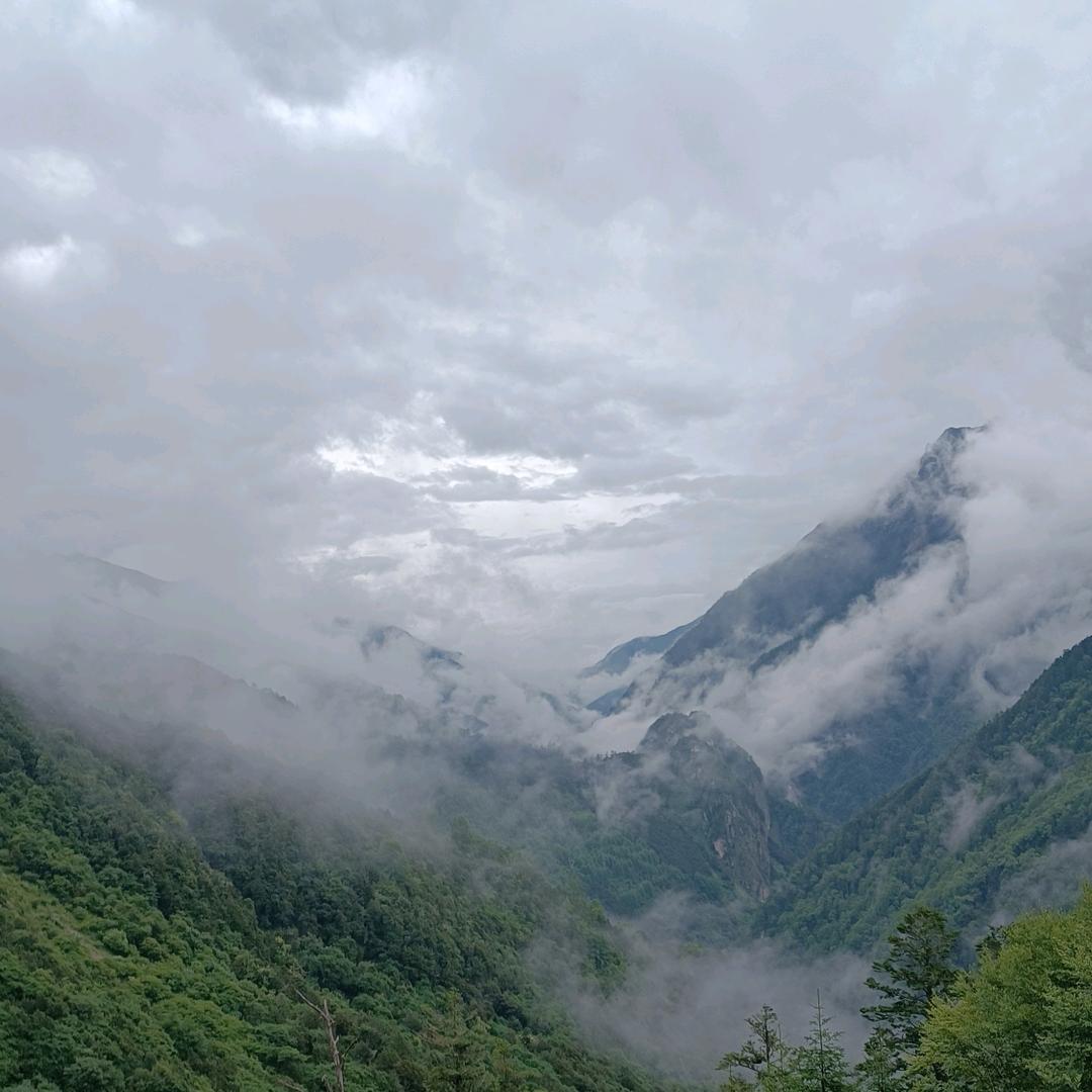 化刻（求关注）