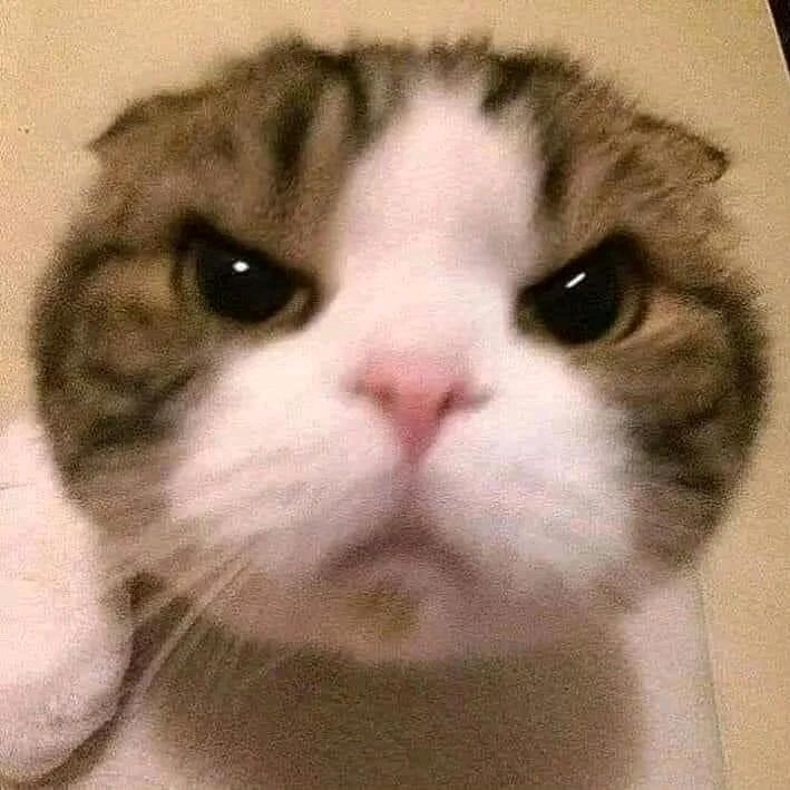 眠眠
