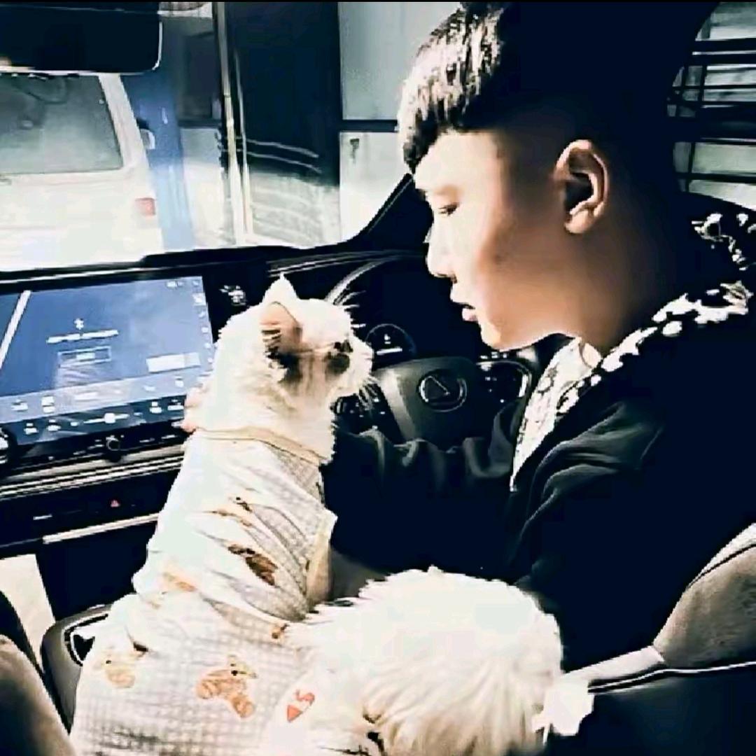 格斗.🖤