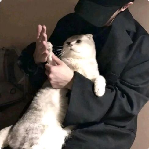 小禹