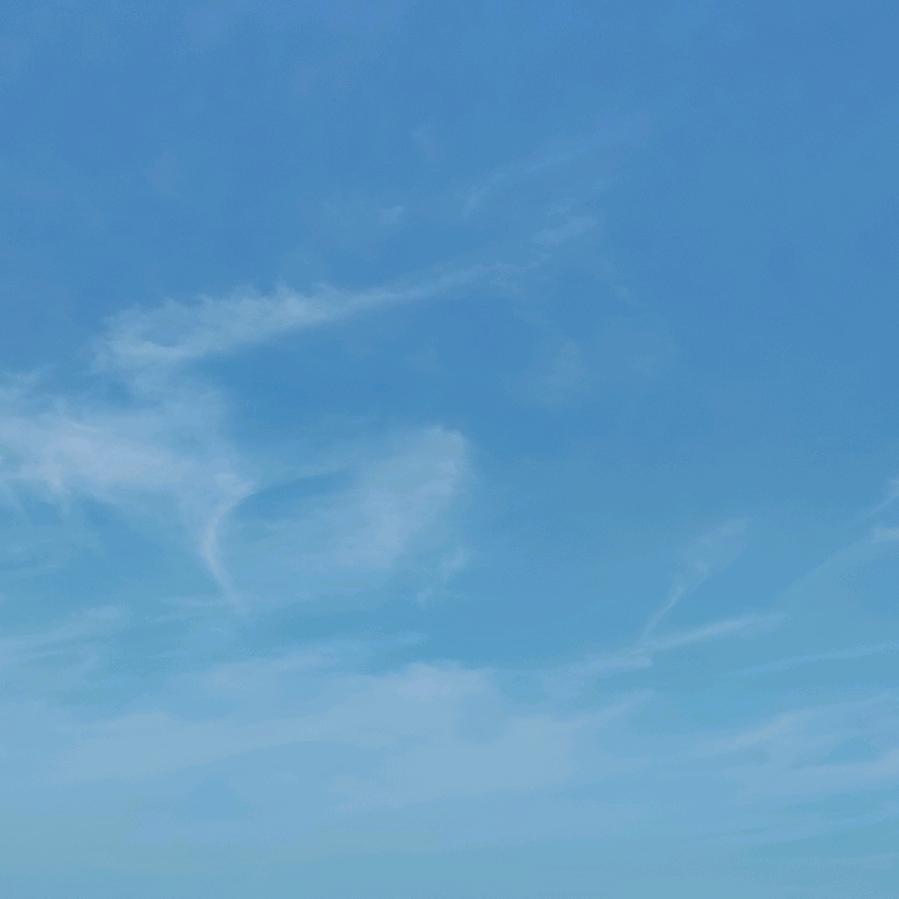一路向阳