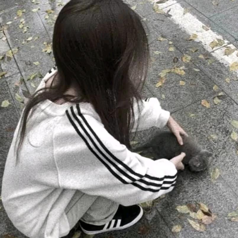 新疆貂蝉