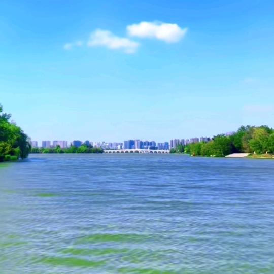大漠天涯