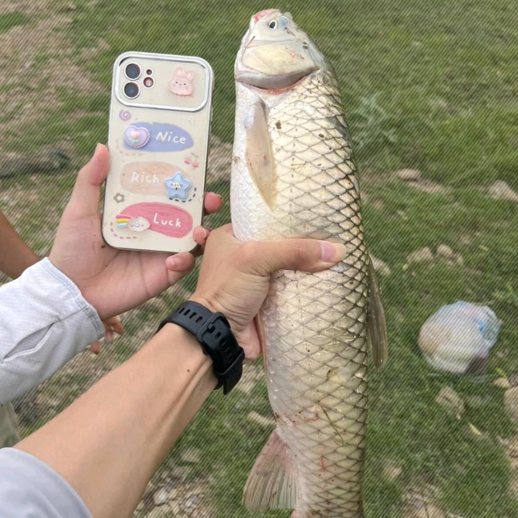 老张钓友圈--阜阳