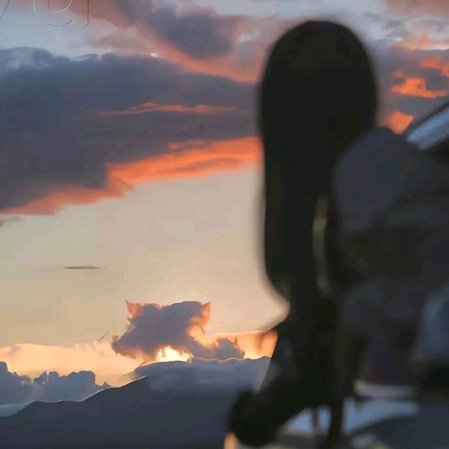 房似锦