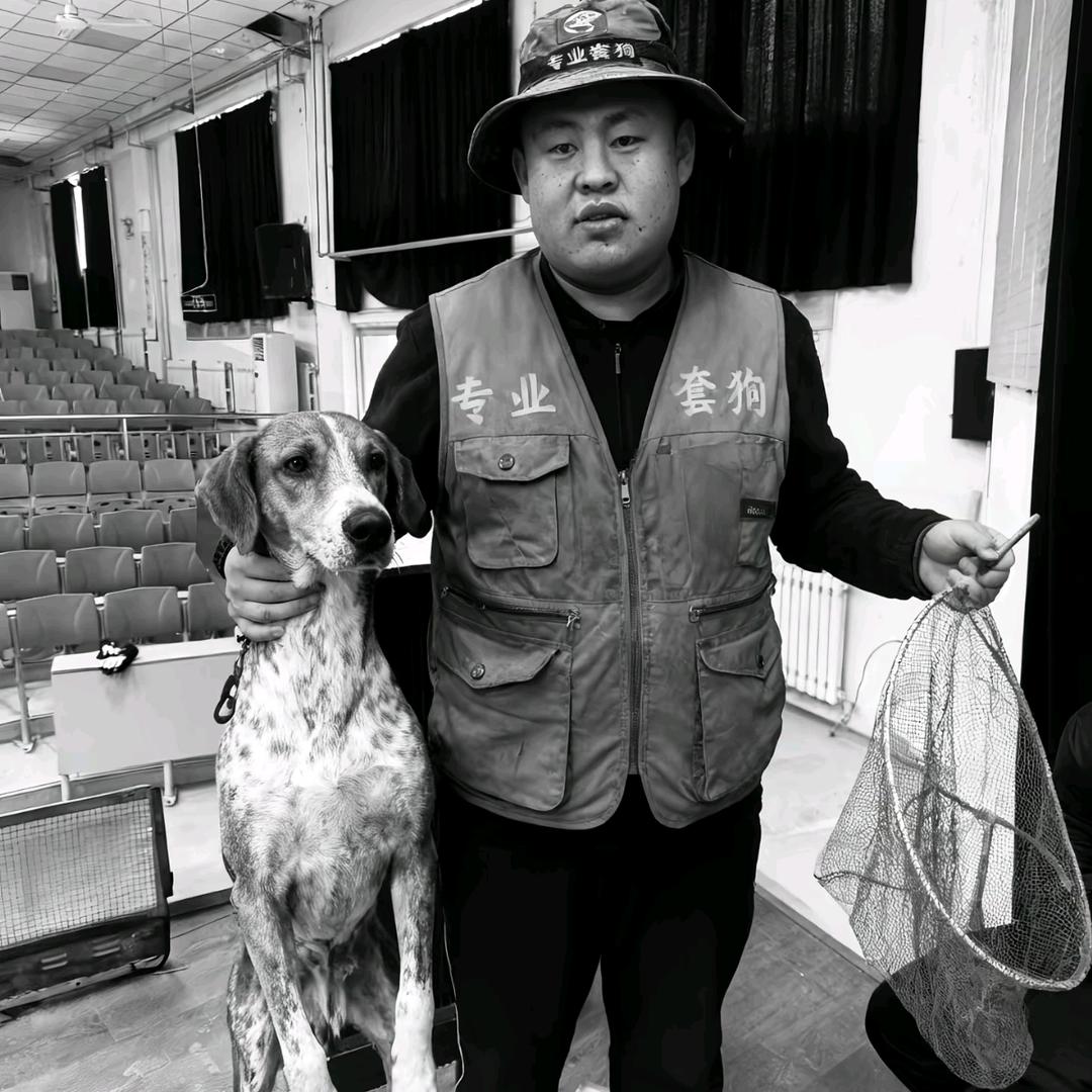 河北专业套狗（舔狗免费）