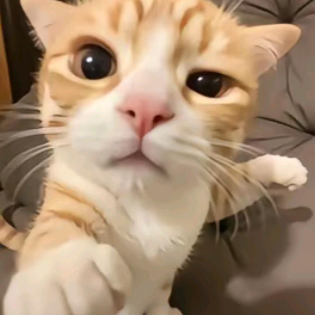 超级宇宙无敌大睡睡