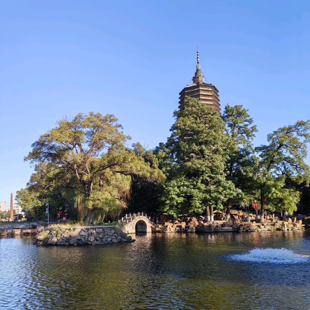 荏苒绝尘🐝⁹²¹⁷