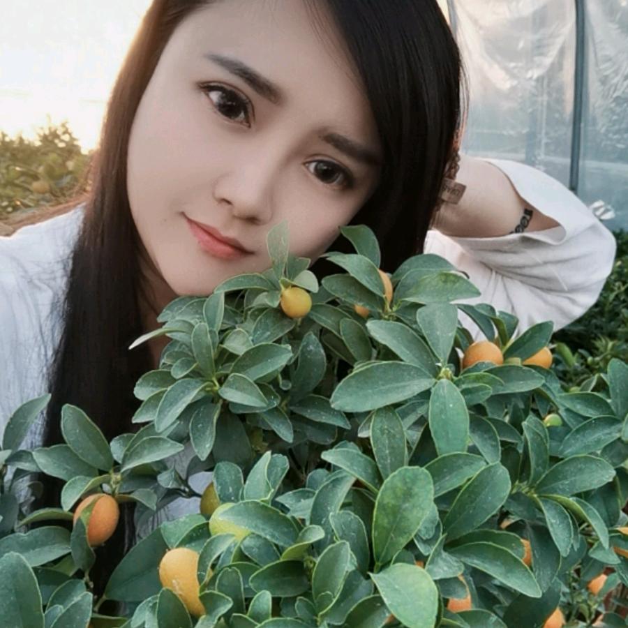 尚蔻景致果树苗木专卖店