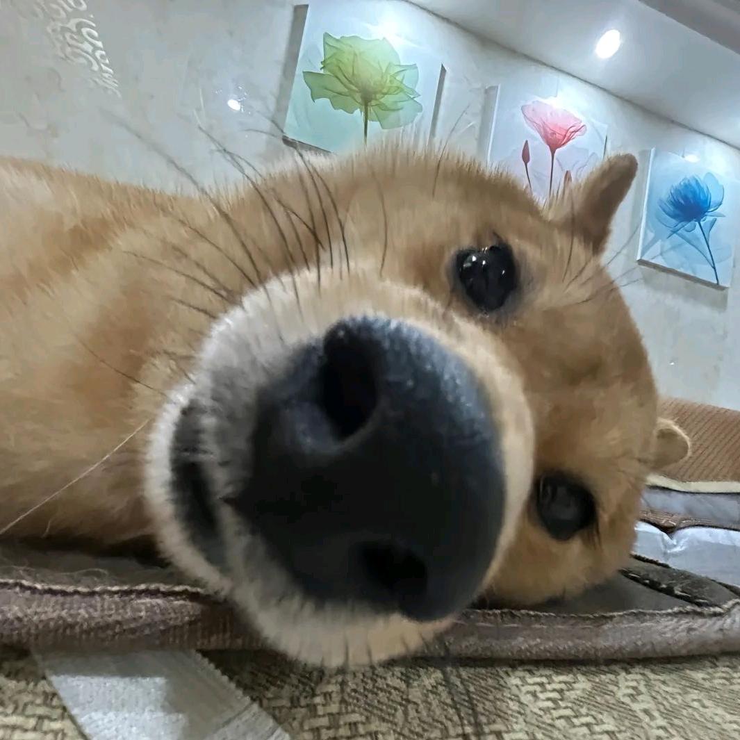 @ll