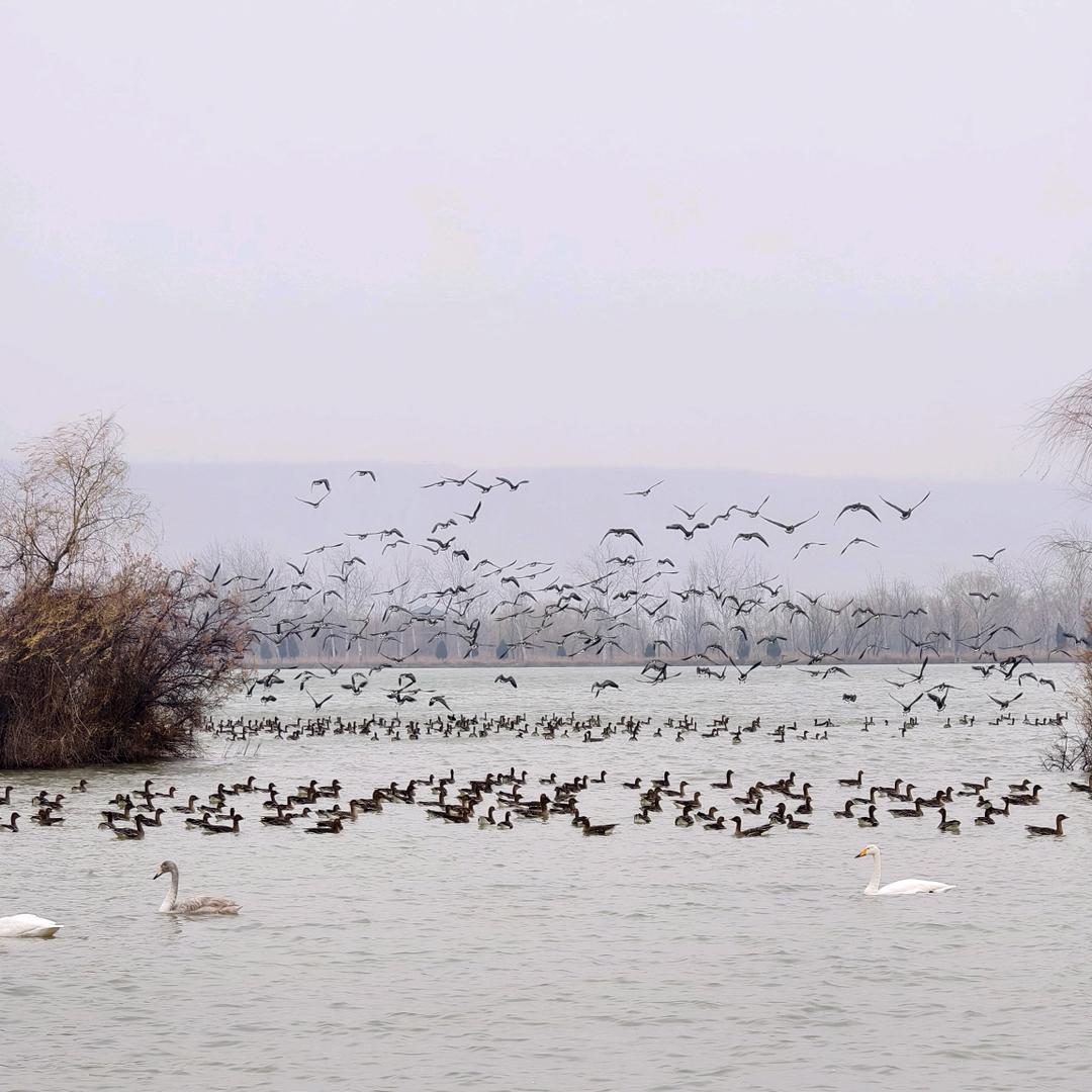 :🥀⃟错把᭄敷衍ꦻ当承诺&