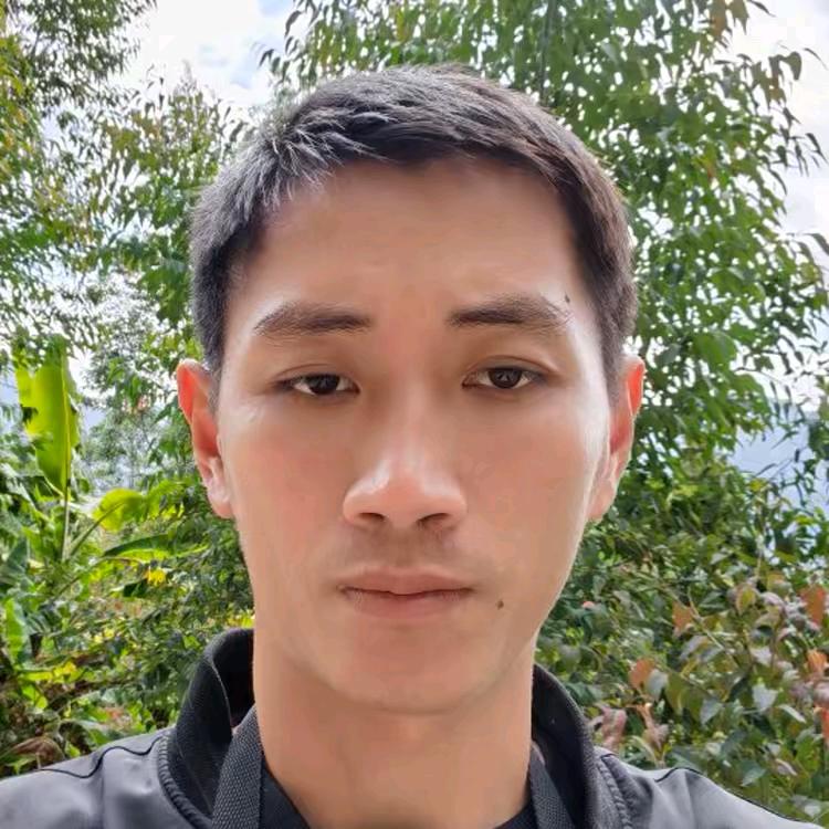 阿海寻蜂记田园生活