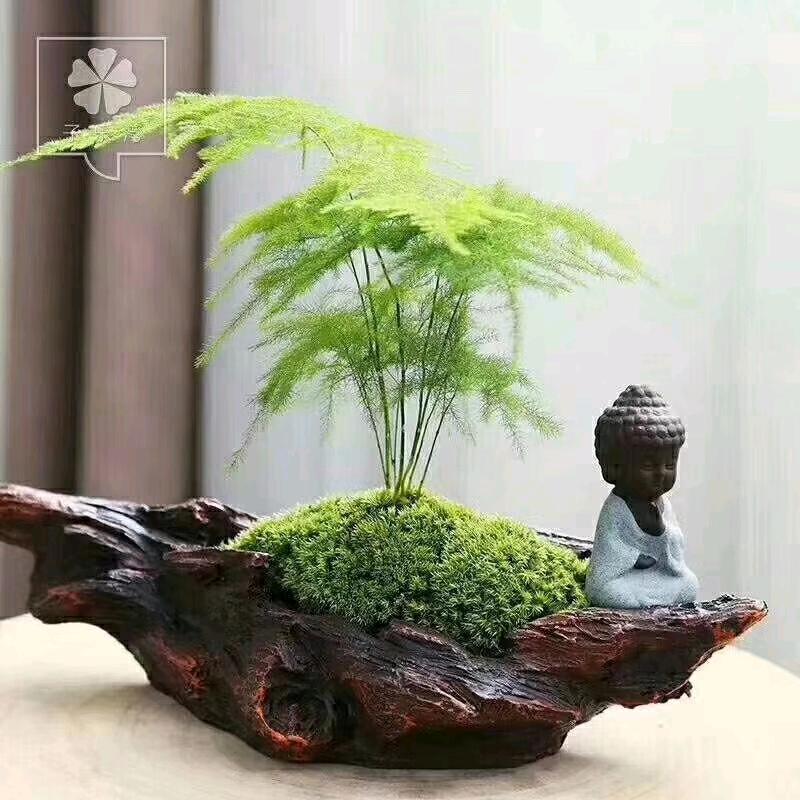 自有行走的花