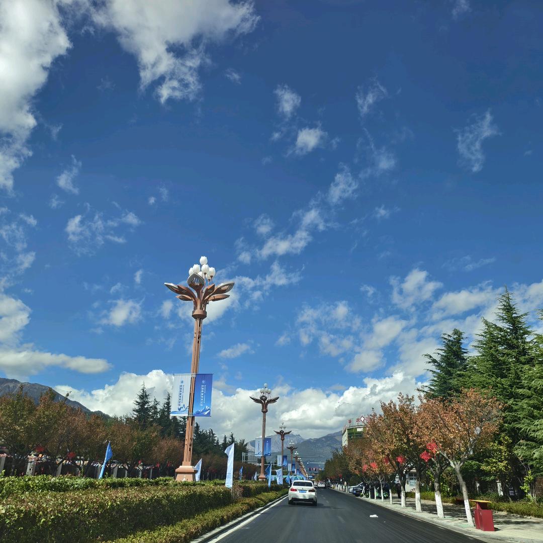 小叶