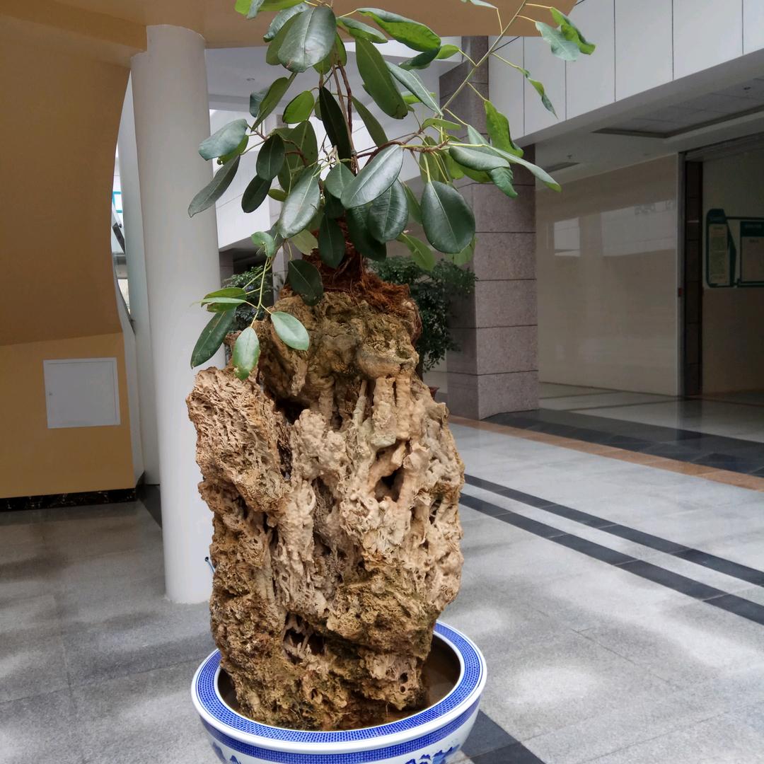 诗和远方