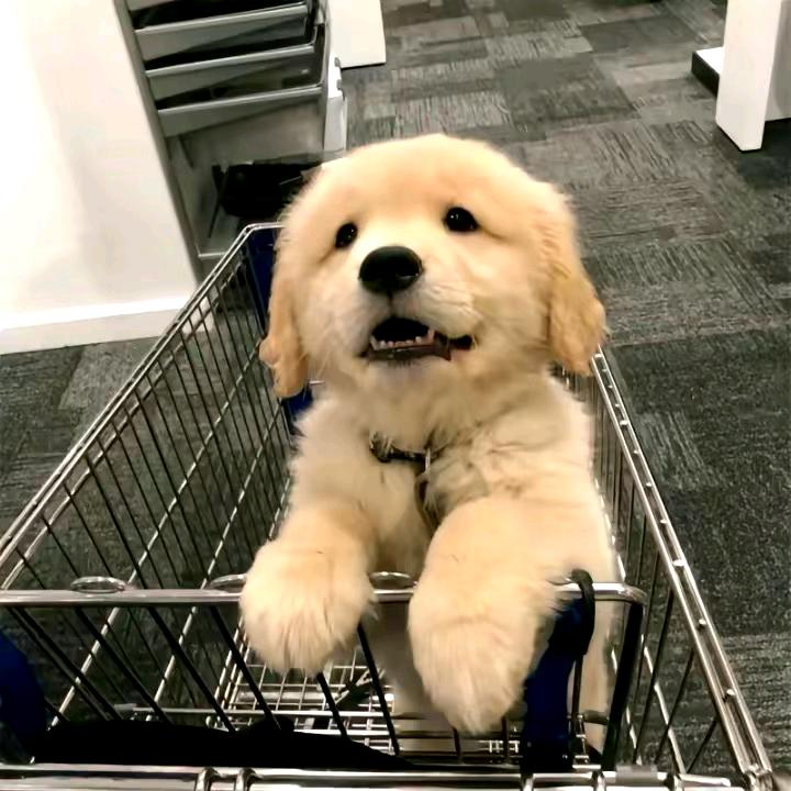 你有事吗