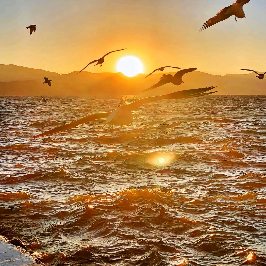 赤；焰～🔥 🔥