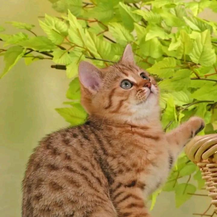 二五七