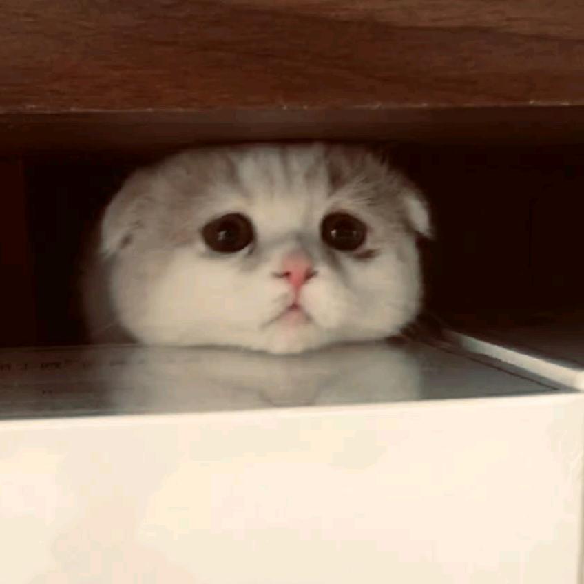你最可爱。