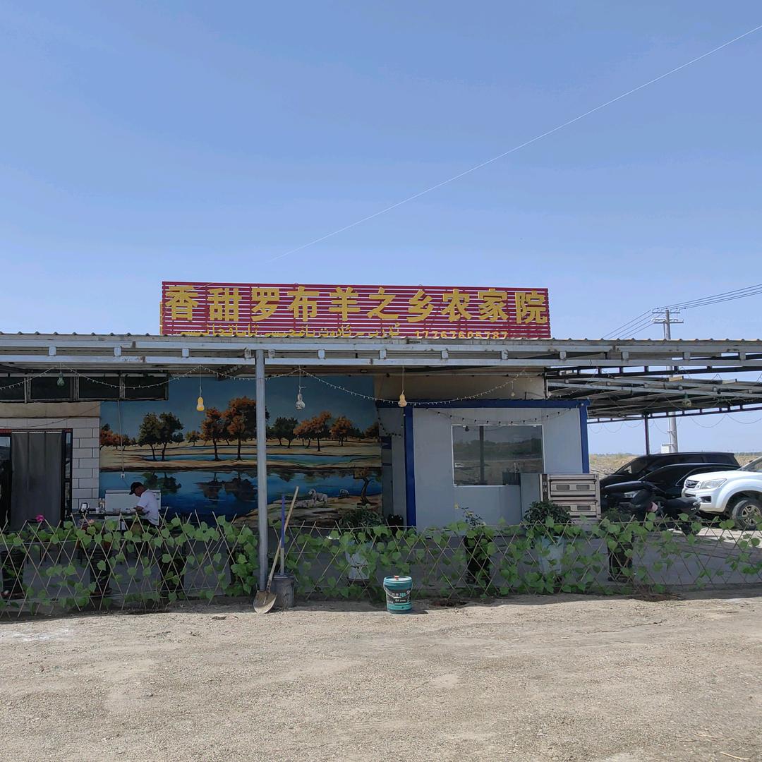 新疆尉犁县