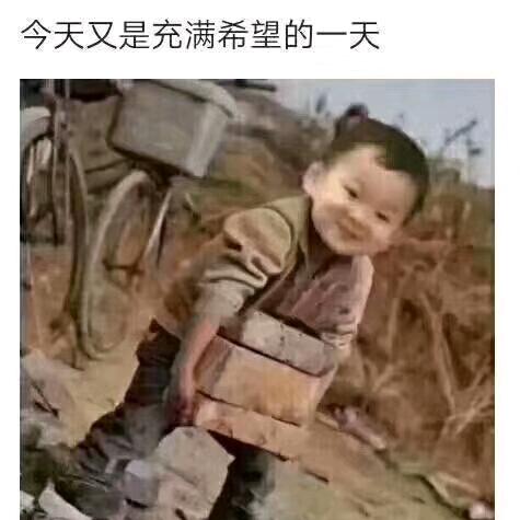 逗哥