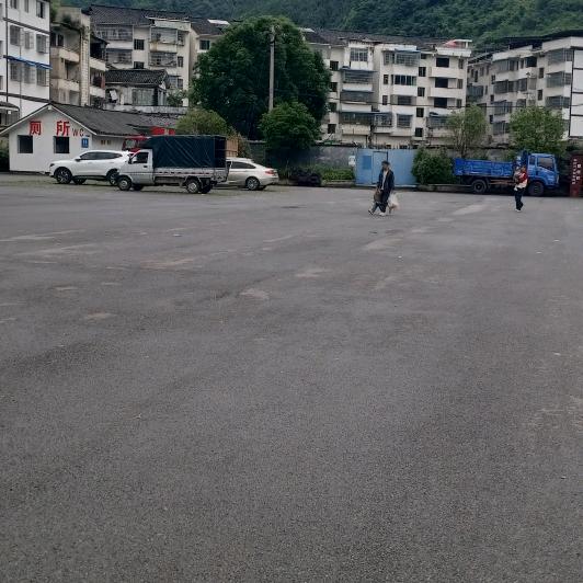 开心的人