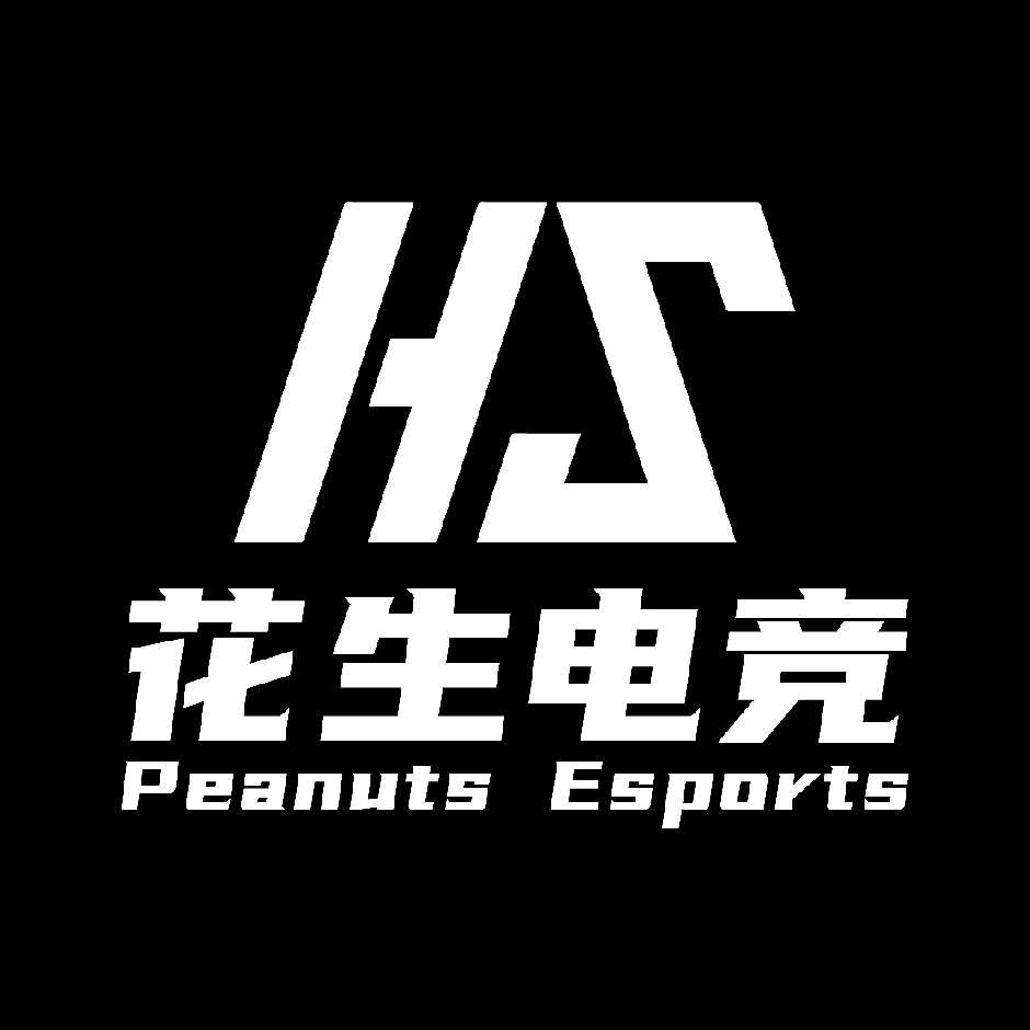 花生电竞国服工作室