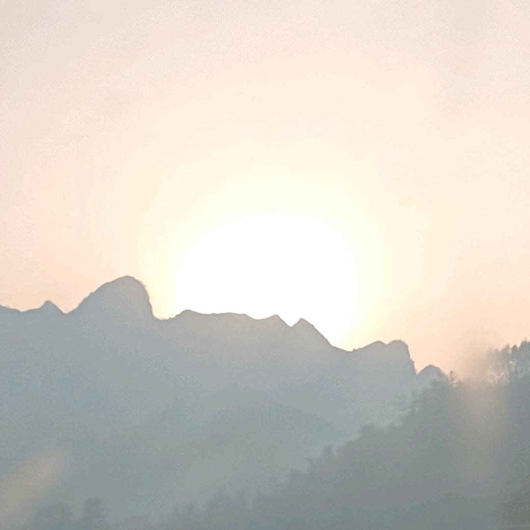 🌺时来运转🌺