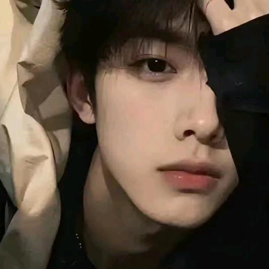 桐花飘红尘如梦