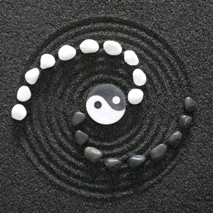 岁聿闻声
