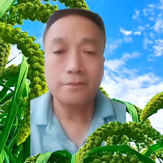 葛树森